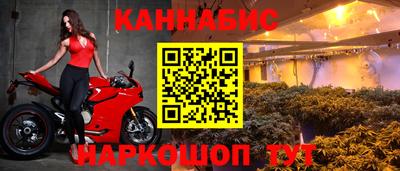 крисы Чебоксары