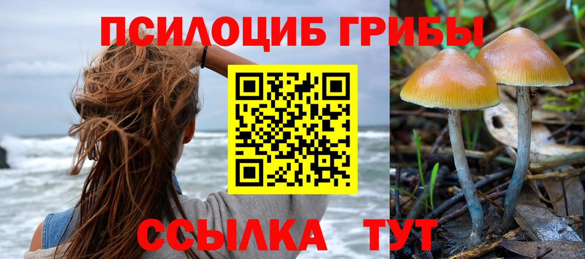 Ангарск  Галлюциногенные грибы мухоморы  где найти наркотики  Вход с VPN 